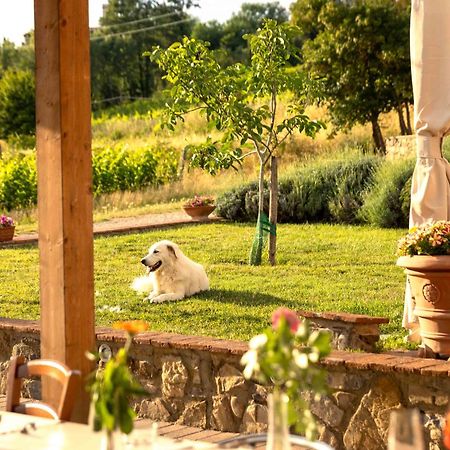 Azienda Agricola I Colli Di Marliano Lastra a Signa Exterior foto