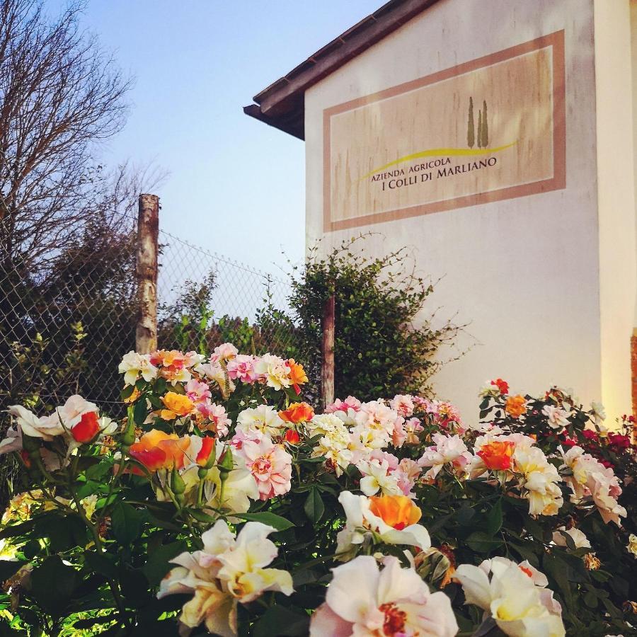 Azienda Agricola I Colli Di Marliano Lastra a Signa Exterior foto