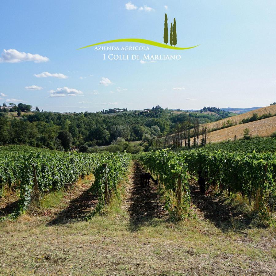 Azienda Agricola I Colli Di Marliano Lastra a Signa Exterior foto