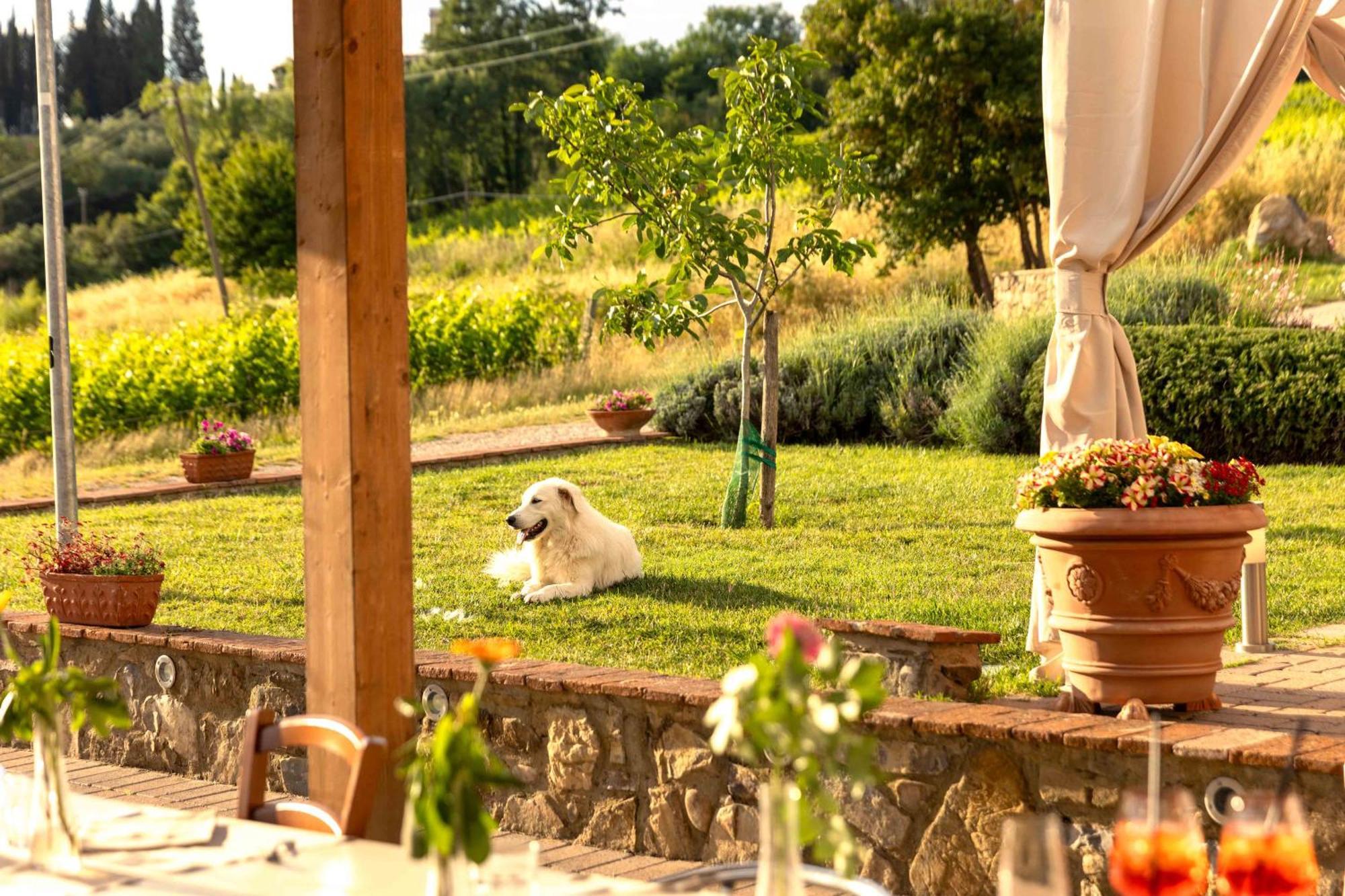 Azienda Agricola I Colli Di Marliano Lastra a Signa Exterior foto